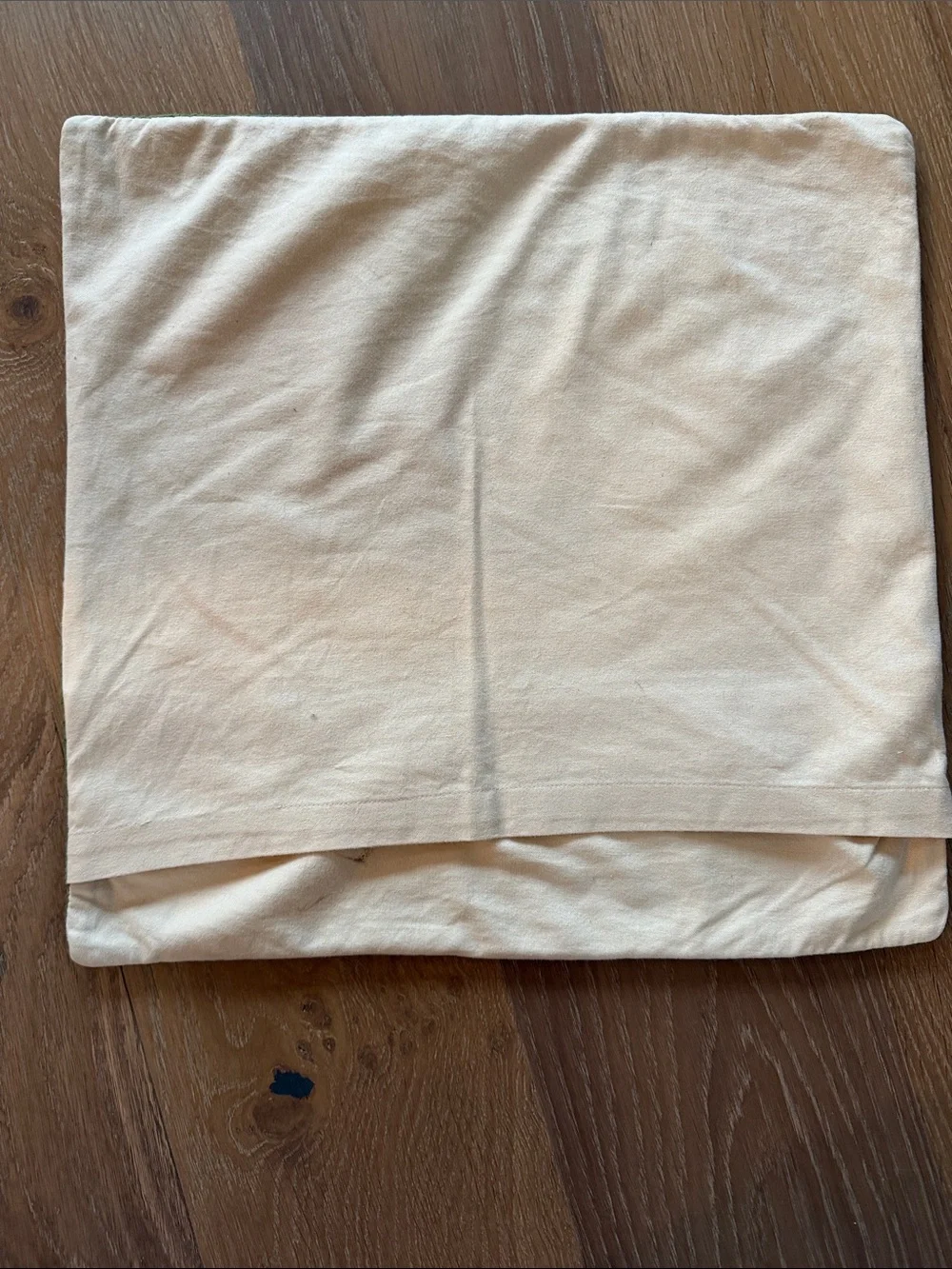 Pottery Barn 2 Holiday Snowflake Throw Pillow Cover - Green and Cream